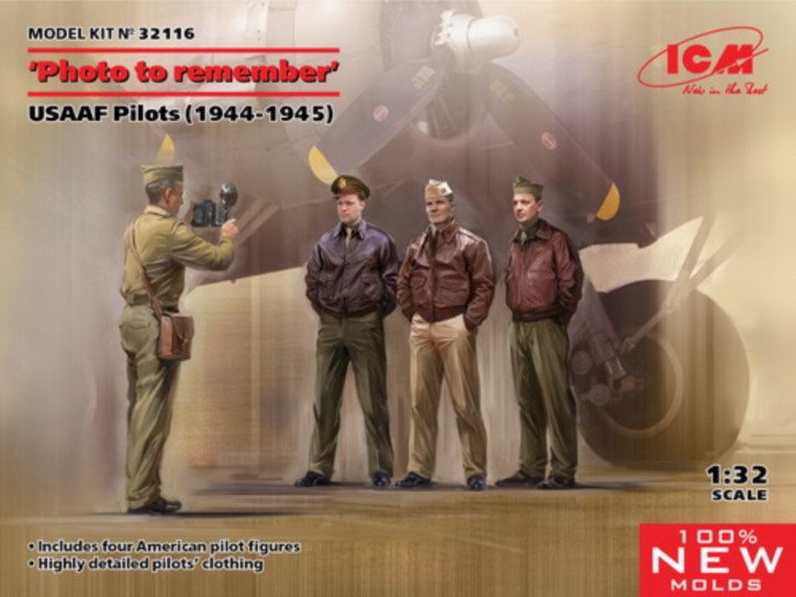 "Photo to Remember" USAAF Pilots 1944-1945