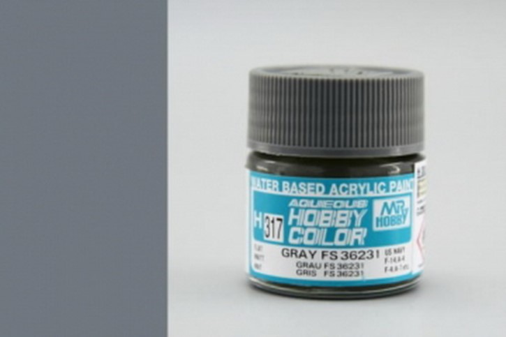 H317-FS36231- grey, matt, Acryl, 10 ml